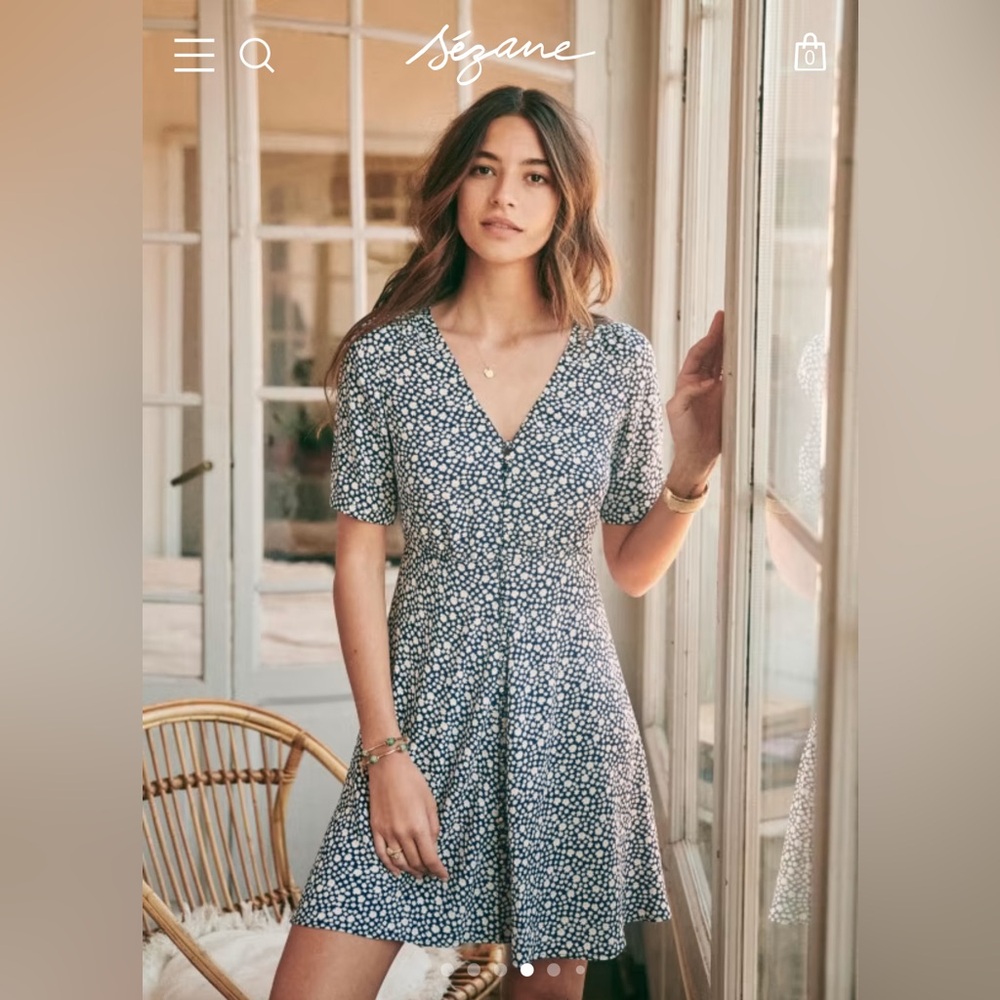 Sezane Blue Floral Mini Dress